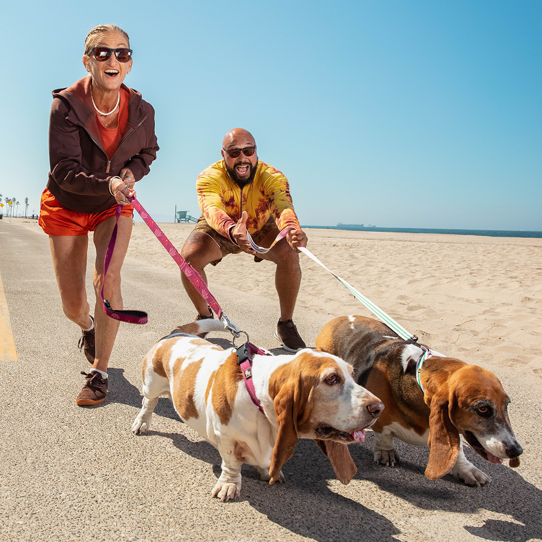 LE ROI DES CHIENS COURANTS